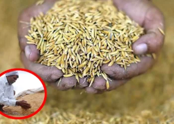 நெல் ஈரப்பதம் விவகாரம்- முதல்வர் கடிதம்