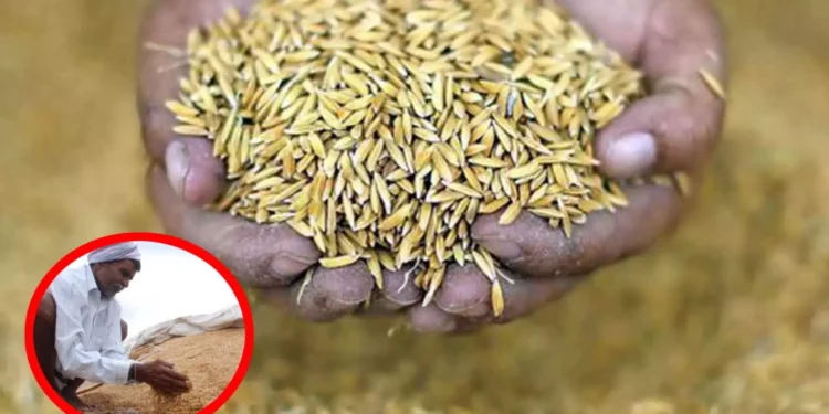 நெல் ஈரப்பதம் விவகாரம்- முதல்வர் கடிதம்